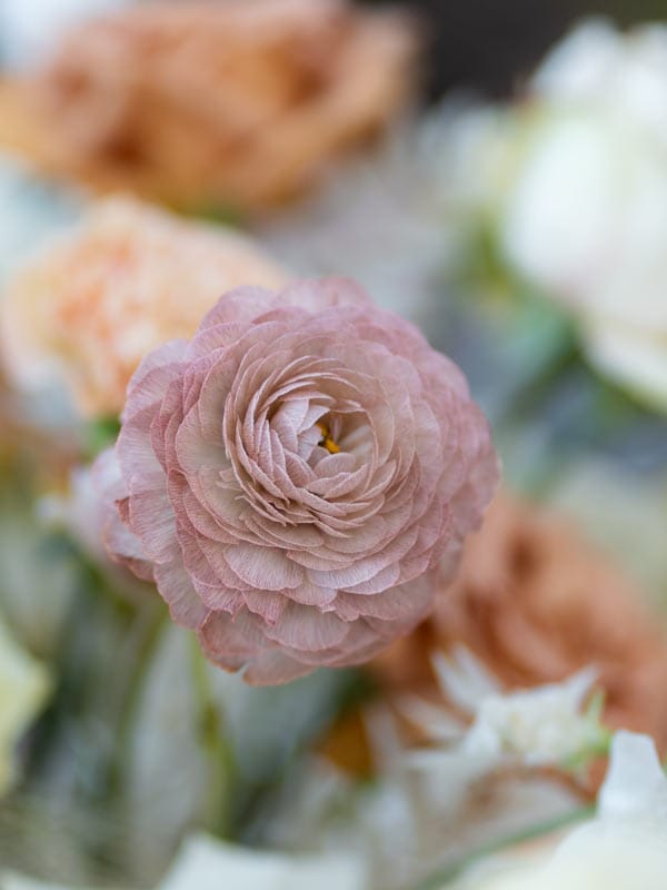 Runanculus-wedding-tablescaoe